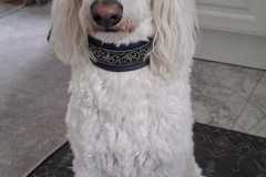 IMG-20250923-WA0002