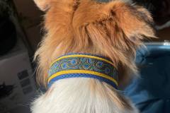 Messenger_creation_3e6483d8-a0ec-4874-bfdb-d0d16870344b