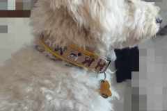 Messenger_creation_7605bd6b-150b-4dcc-88a4-68cbd2fc6209