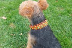 Messenger_creation_92B0A47F-77F6-4A04-AE20-9F97DA6E7F2F