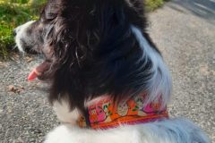 Screenshot_20201120_214203_com.android.gallery3d