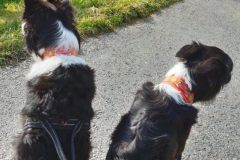 Screenshot_20201120_214208_com.android.gallery3d