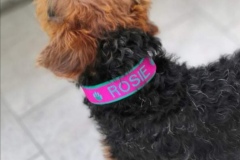 Screenshot_20210726_180705