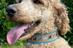 Screenshot_20210726_181519