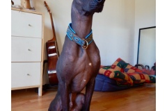 Screenshot_20211015_160731_com.android.email_edit_3720486529664058