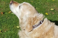 Screenshot_20211020_065349_com.facebook.orca_