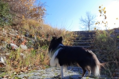 Screenshot_20211107_135123_com.android.gallery3d