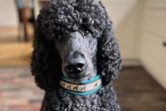 Screenshot_20221212_145312