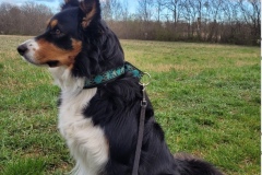 Screenshot_20230327_144815_com.android.email_edit_2382995845092625