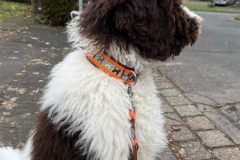 Screenshot_20230502_121951_com.android.gallery3d