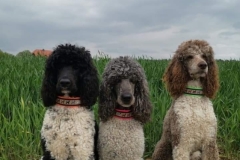 Screenshot_20230911_214618_com.facebook.katana