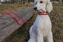 Screenshot_20230911_214631_com.facebook.katana