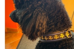 Screenshot_20250730_163812_com.android.gallery3d_edit_1673289806428003