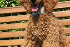 received_1019902462114781