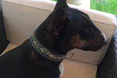 received_10212366670824882