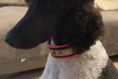 received_1047422849054272