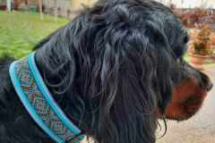 received_1076615256695787