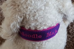 received_1085043785218989