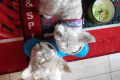 received_1314570459427101