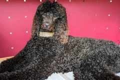 received_1771821419902473