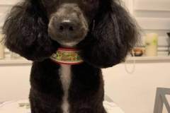 received_193566245695528