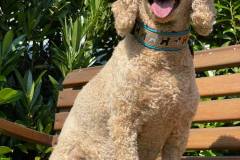 received_236018451672847