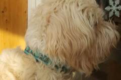 received_315107855991816