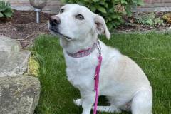 received_321417916936023