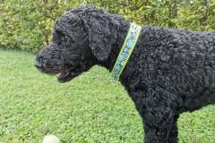 received_347859739730566