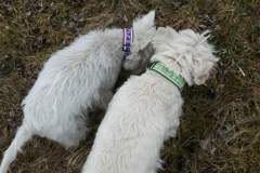 received_453827851700301