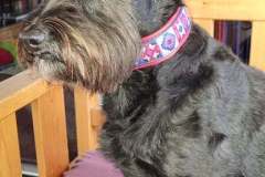 received_638137940857766