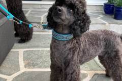 received_6508539709241771