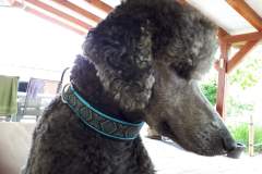 received_698526887384824