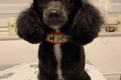 received_753086991963391