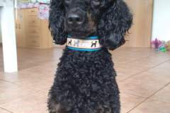 received_754764471753164