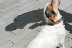 received_837734771304693_edit_3119684178180735