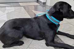 received_867371941681478