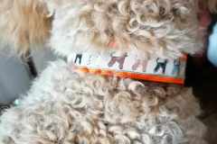 received_962768354988565