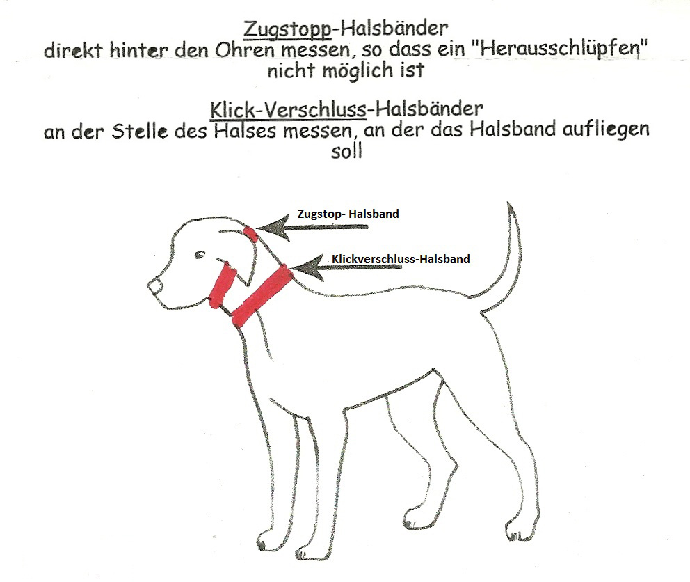 Messanleitung für das Hundehalsband